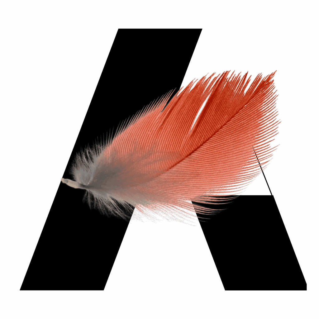 Arrieta Academy la plume de Marcos