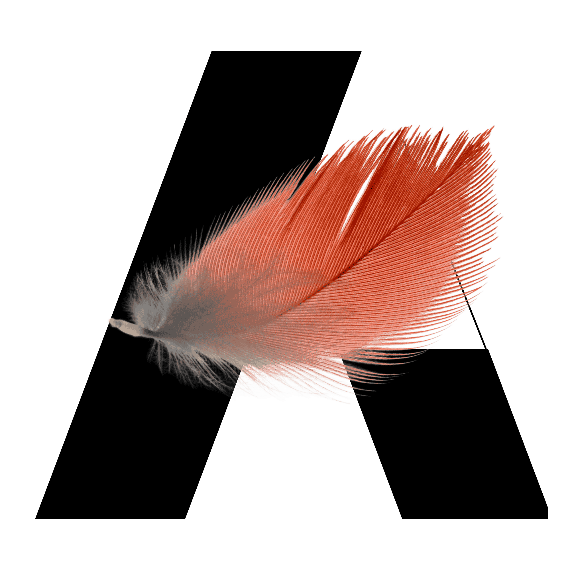 Bientôt, notre catalogue de formations